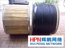 24芯光纜實物示意圖